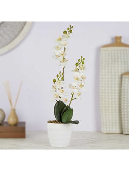 HomeTown - Ilana Artificial Orchid Potted Plant 45 cm In White Colour
