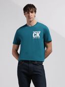 Teal color option, Currently selected