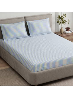 Haus & Kinder - Combed Cotton 186 TC King Fitted Serian Stripe Blue
