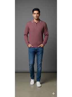 Pierre Carlo - Men Mauve Regular Full Sleeves Sweater