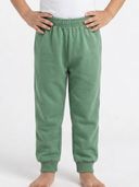 Green color option