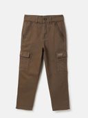 Brown color option, Currently selected