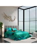 Green color option, Currently selected