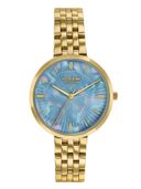 Blue color option, Sold out