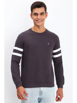 Allen Solly - Men Grey Crew Neck Full Sleeves Casual Sweatshirt