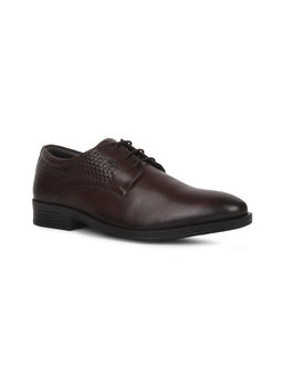 Lee Cooper - Men Brown Derbies