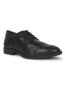 Black color option, Sold out