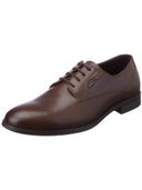Brown color option, Currently selected