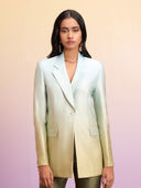 Green color option, Currently selected