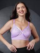 Lavender color option, Currently selected