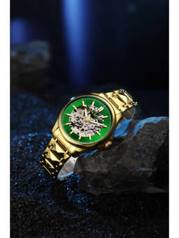 Daniel Hechter - Paris Tech Collection Automatic Skeleton Wrist Watch Men (Dhm1068-33) (M)