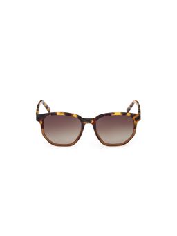 Timberland - Brown Acetate Full Rim Round Men Sunglass (54)