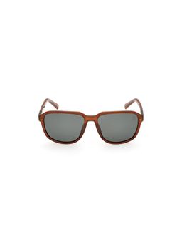 Timberland - Brown Acetate Full Rim Square Men Sunglass Green (56)