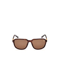 Timberland - Brown Acetate Full Rim Square Men Sunglass (56)
