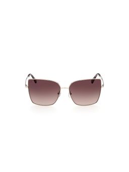 Web Eyewear - Gold Metal Full Rim Square Women Sunglass Brown (61)