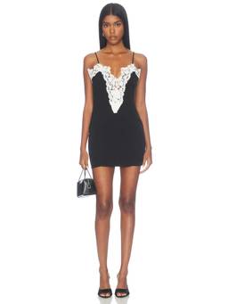 MORE TO COME - Sarahi Women's Lace Trim Sleeveless Bodycon Mini Dress Black