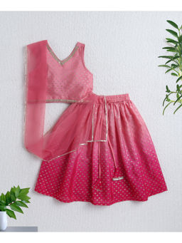 The Magic Wand - Pink Ombre Dyed Foil Lehenga and Choli with Dupatta