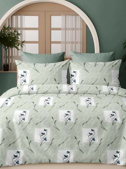 Sleeping Owls- because your sleep matters - 300TC Super King Bedsheet with 2 Pillow Covers