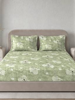 Sleeping Owls- because your sleep matters - Cotton 210TC King Fitted Bedsheet with 2 Pillow Covers