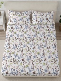 Sleeping Owls- because your sleep matters - 300TC Super King Bedsheet with 2 Pillow Covers