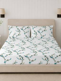 Sleeping Owls- because your sleep matters - 300TC Super King Bedsheet with 2 Pillow Covers