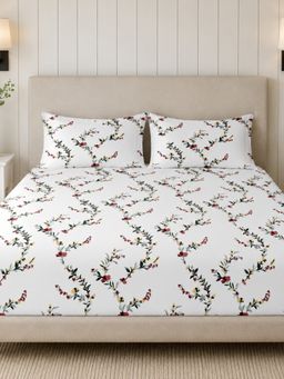 Sleeping Owls- because your sleep matters - 300TC Super King Bedsheet with 2 Pillow Covers