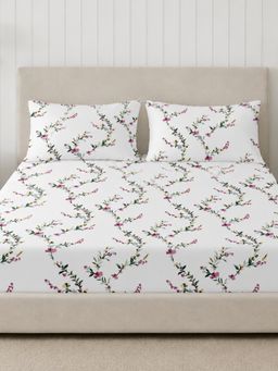 Sleeping Owls- because your sleep matters - 300TC Super King Bedsheet with 2 Pillow Covers