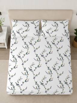 Sleeping Owls- because your sleep matters - 300TC Super King Bedsheet with 2 Pillow Covers