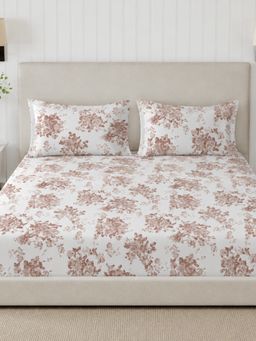 Sleeping Owls- because your sleep matters - 300TC Super King Bedsheet with 2 Pillow Covers