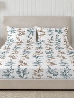 Sleeping Owls- because your sleep matters - 300TC Super King Bedsheet with 2 Pillow Covers