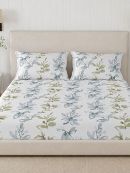 Sleeping Owls- because your sleep matters - 300TC Super King Bedsheet with 2 Pillow Covers