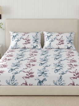 Sleeping Owls- because your sleep matters - 300TC Super King Bedsheet with 2 Pillow Covers