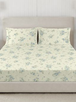 Sleeping Owls- because your sleep matters - 300TC Super King Bedsheet with 2 Pillow Covers