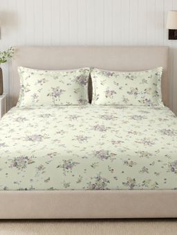 Sleeping Owls- because your sleep matters - 300TC Super King Bedsheet with 2 Pillow Covers