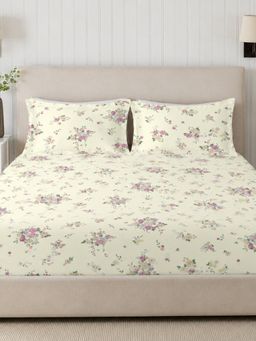 Sleeping Owls- because your sleep matters - 300TC Super King Bedsheet with 2 Pillow Covers