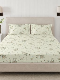 Sleeping Owls- because your sleep matters - 300TC Super King Bedsheet with 2 Pillow Covers