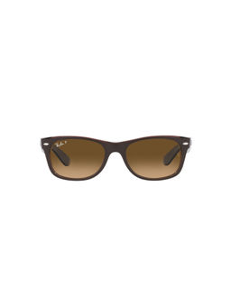 Ray-Ban - Matte Brown On Transparent Brown Sunglasses
