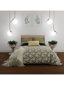 Brown color option, Sold out