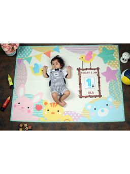 NEW COMERS - Milestone Newborn Baby's Monthly Photoshoot Blanket & Props Thread Count(150/300) -402