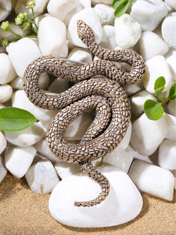 Cosa Nostraa - Slytherine Brooch