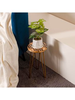 CASA DECOR - Brown Chevron Gold Metal Plant Stand