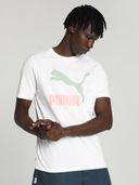 White color option, Sold out