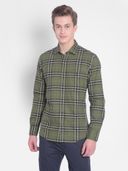 Olive color option, Currently selected