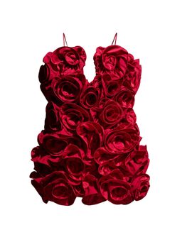 H&M - Women Red Ruffled Satin Dress