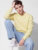 Yellow color option, Currently selected