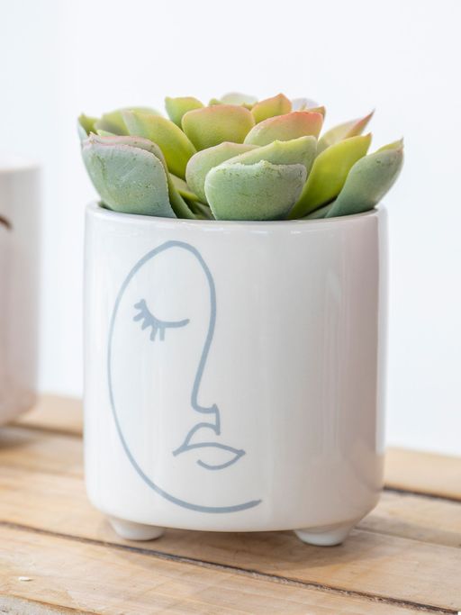 KitchenCraft Abstract Face Planters For thinKitchen, Indoor Plant Pot