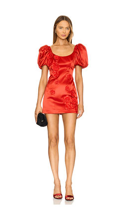 Lovers and Friends - Selena Mini Dress