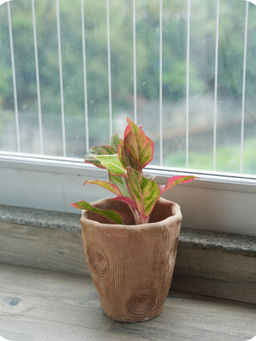 Swadeh - Contemporary Long Twisted Planter