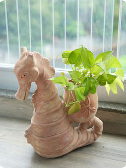 Swadeh - Seashell Seahorse Planter