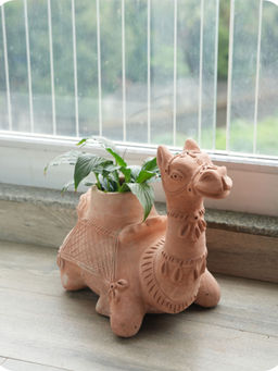 Swadeh - Hump Camel Planter